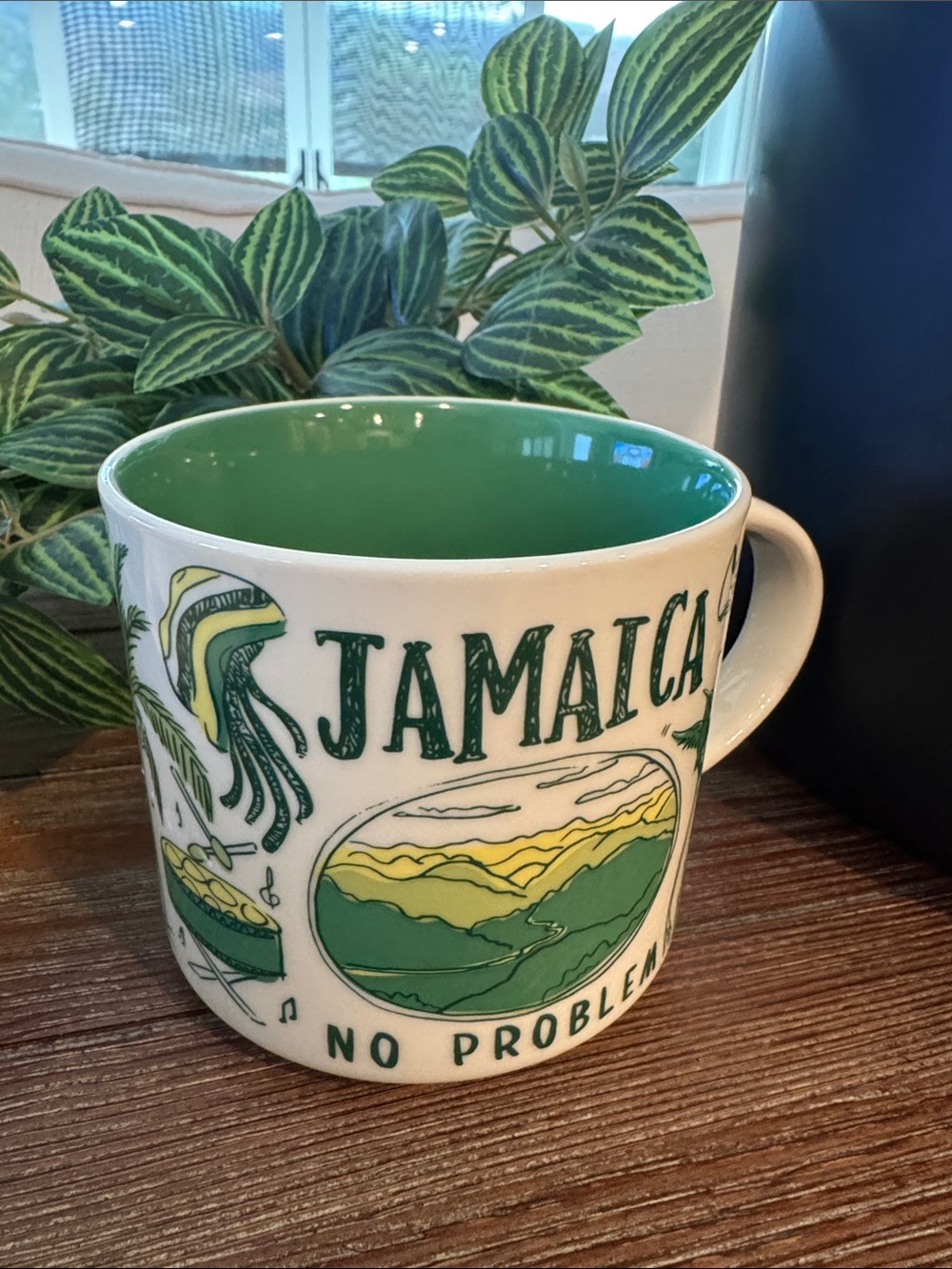Starbucks Jamaica Green Interior Ceramic Mug